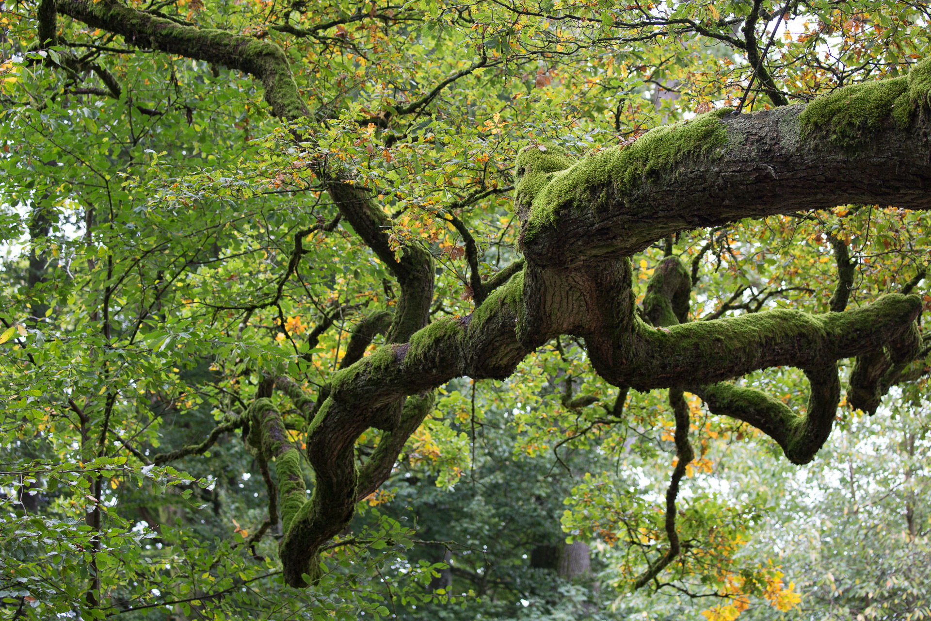 20231014100727 3K6A2229